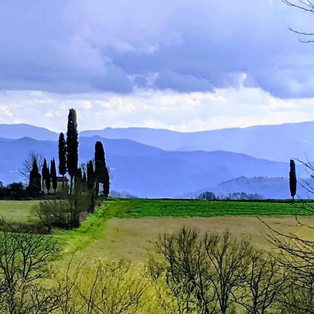 Tuscan Hills Near Florence - Stone House Vicchio Dış mekan fotoğraf